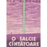 O salcie cintatoare