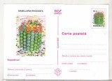 bnk cp Cactusi - necirculata - marca fixa - 019/97