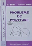 Probleme de pivotare - 2011 - Alexandru Negrescu (AC163)