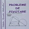 Probleme de pivotare - 2011 - Alexandru Negrescu (AC163)