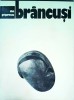 Dan Grigorescu - Brancusi
