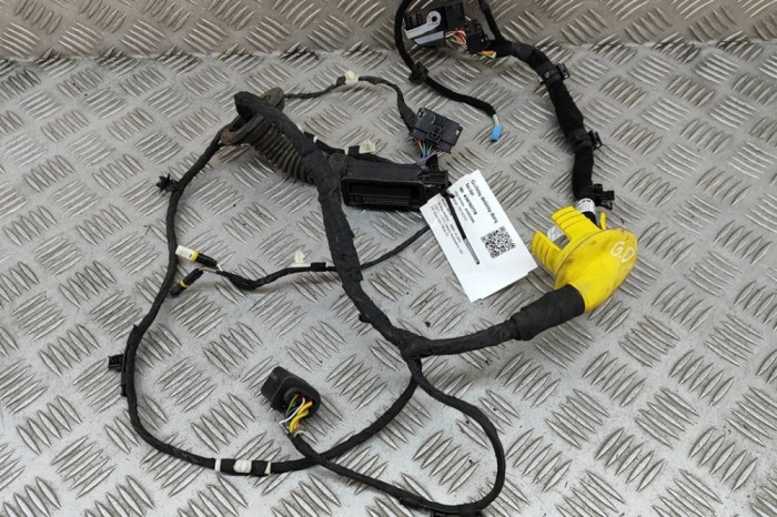 Cablaj ușă dreapta spate BMW iX I20 2022 OEM: 5A54F25 30702778
