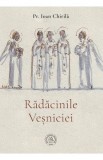 Radacinile Vesniciei - Ioan Chirila