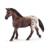 Figurina - Iapa Appaloosa | Schleich