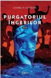 Purgatoriul ingerilor | Camelia Cavadia, Trei