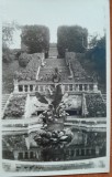 Carte postala, Avrig, parcul Sanatoriului Brukenthal, perioada interbelica