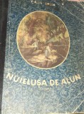 NUIELUSA DE ALUN CALIN GRUIA (cu ilustratii de Raisa Iusein)