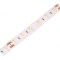 Bandă LED alb cald 24V IP65