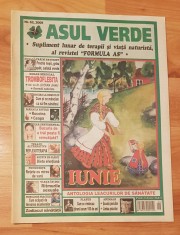Revista Asul Verde Nr. 62 / 2009 (iunie 2009)