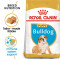 ROYAL CANIN Bulldog JUNIOR - 3 kg