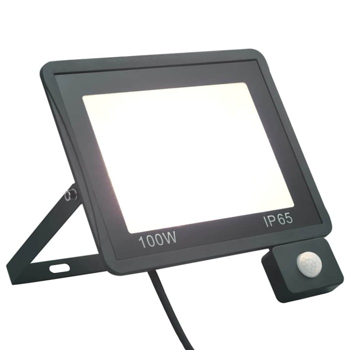 Proiector LED cu senzor, 100 W, alb rece
