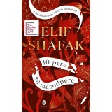 10 perc 38 m&aacute;sodperc - Elif Shafak