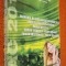 Examenul de bacalaureat national 2013, LIMBA SI LITERATURA ROMANA, Modele de teste cu sugestii de rezolvare - Romonti, Baciu, Hassoun, Borza, Popa