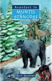 Aventuri in Muntii Stancosi - Betty Swinford