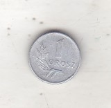 bnk mnd Polonia 1 grosz 1949