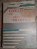 Ghid De Anatomie Practica - N.diaconescu N.rottenberg V.niculescu ,530306