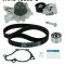 SKF VKMC 95660-1 Set pompa apa + curea dintata