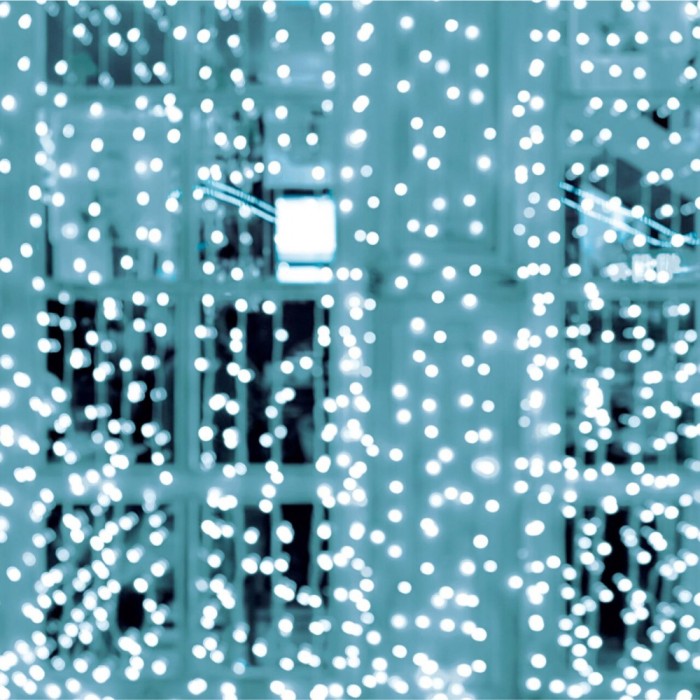 Perdea de lumini DOT LED, 2x 2 m, alb, rece