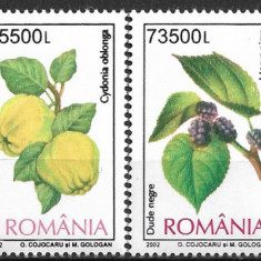 C1426 - Romania 2002 - Flora 4v.neuzat,perfecta stare