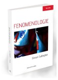 Fenomenologie - Paperback brosat - Shaun Gallagher - Ratio et Revelatio