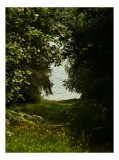 Tablou Canvas, "Cărarea spre lacul ascuns", Pădure, Potecă, Lumină, Apă, Vegetație, Umbre, Natură, Tranquilitate, Flori, 26 x 39 cm, CMCLASS