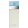 Dolce &amp; Gabbana Light Blue Tester EDT 100 ml