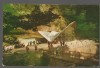 CPIB 19090 CARTE POSTALA - OLANESTI, Circulata, Fotografie