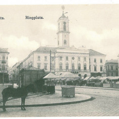 2306 - CERNAUTI, Bucovina, Market - old postcard - unused