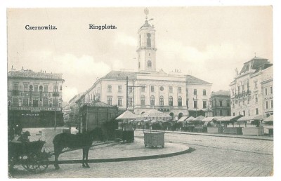 2306 - CERNAUTI, Bucovina, Market - old postcard - unused foto