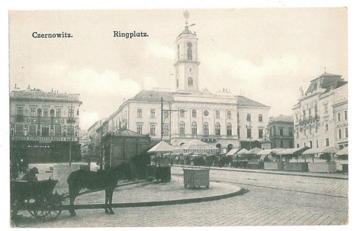 2306 - CERNAUTI, Bucovina, Market - old postcard - unused
