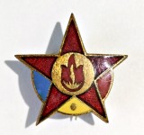 INSIGNA DISTINCTIE PIONIERI STELUTA CENTRUL DIN BRONZ PIONIER, Romania de la 1950