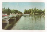 RF142 - Carte Postala - Bucuresti. Parcul Libertatii, necirculata