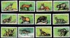 CONGO-2000-Fauna-serie completa de 12 timbre MNH, Nestampilat