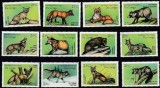CONGO-2000-Fauna-serie completa de 12 timbre MNH