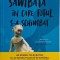 Sambata in care totul s-a schimbat &ndash; Sophie van Llewyn
