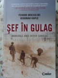 SEF IN GULAG. AMINTIRILE UNUI OFITER SOVIETIC-FEODOR MOCIULSKI, DEBORAH KAPLE-277281
