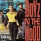 CD Various &ndash; Boyz N The Hood (Music From The Motion Picture) (VG)