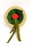 Tablou Rotund de lemn cu licheni stabilizati si mini rosa criogenata diametru 15 cm