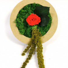 Tablou Rotund de lemn cu licheni stabilizati si mini rosa criogenata diametru 15 cm