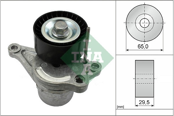 INA 534 0281 10 Intinzator curea, curea distributie