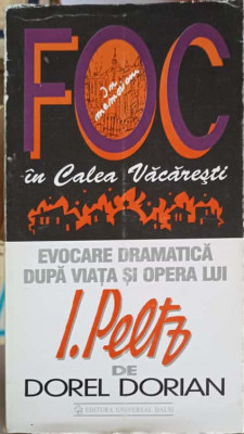 FOC IN CALEA VACARESTI. EVOCARE DRAMATICA DUPA VIATA SI OPERA LUI I. PELTZ-DOREL DORIAN foto