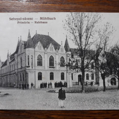 SEBES - SEBESUL SASESC - MUHLBACH - PRIMARIA - INCEPUT DE 1900