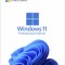 Licenta Microsoft Windows 11 Professional Retail, 5 dispozitive