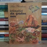 ANA BLANDIANA - INTAMPLARI DIN GRADINA MEA * ILUSTRATII DOINA BOTEZ , 1986 ( DOUA FILE CU DEFECT ) *