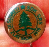 I.250 SERBIA JUGOSLAVIA YUGOSLAVIA INSIGNA STICKPIN ZLATIBOR SDK 14mm, Europa