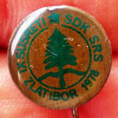 I.250 SERBIA JUGOSLAVIA YUGOSLAVIA INSIGNA STICKPIN ZLATIBOR SDK 14mm