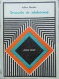 Grupuri Adolescenti Adrian Neculau 1977 Psihologie Copii Parinti Didactica Pedagogica Carte Romana