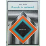 GRUPURILE DE ADOLESCENTI-ADRIAN NECULAU-230897