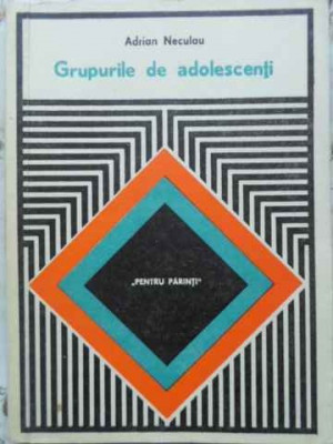 GRUPURILE DE ADOLESCENTI-ADRIAN NECULAU-230896 foto