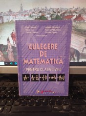 Dăncilă, Păduraru, Ion, Pădureanu..., Culegere de matematică clasa VII, 2003 165